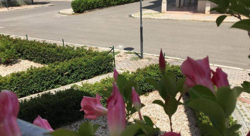 Photo of Outdoor in Metaponto