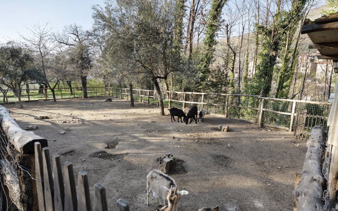 Photo of Others in Gragnano