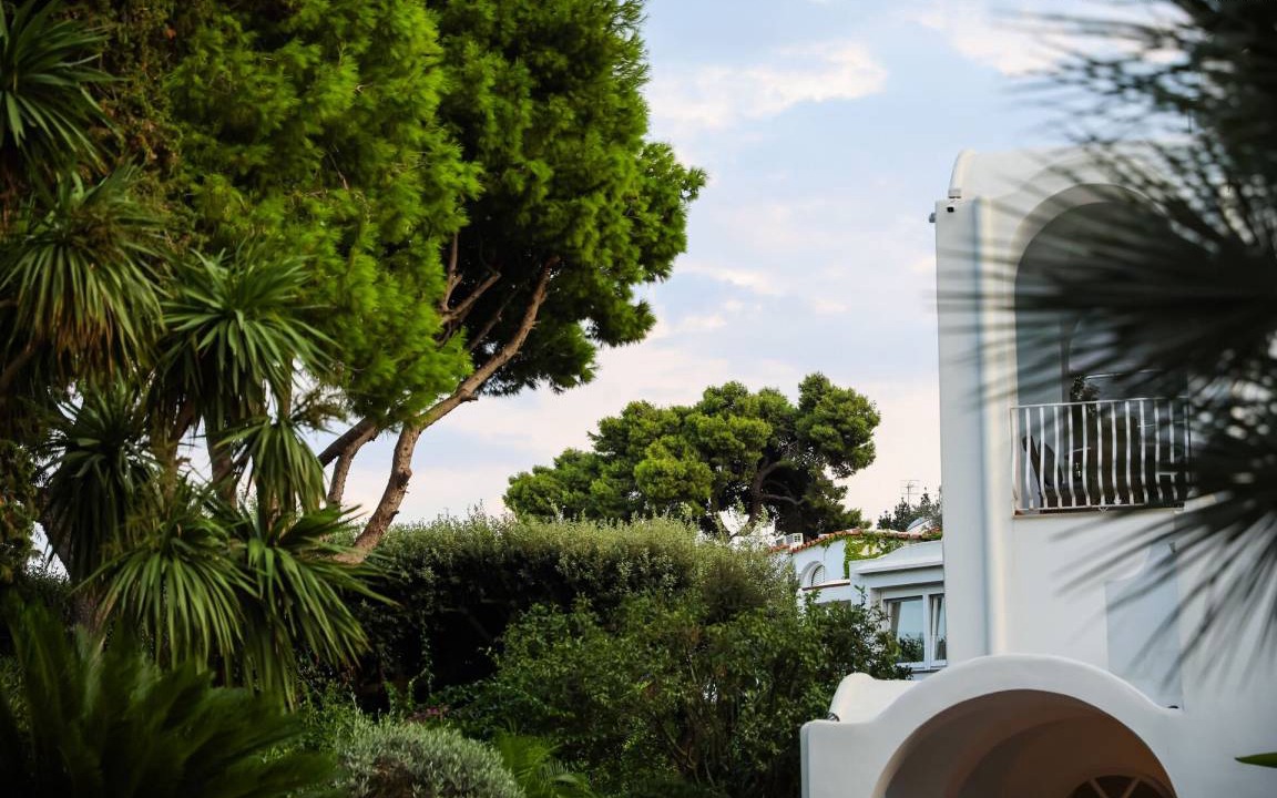 Photo of Others in Capri