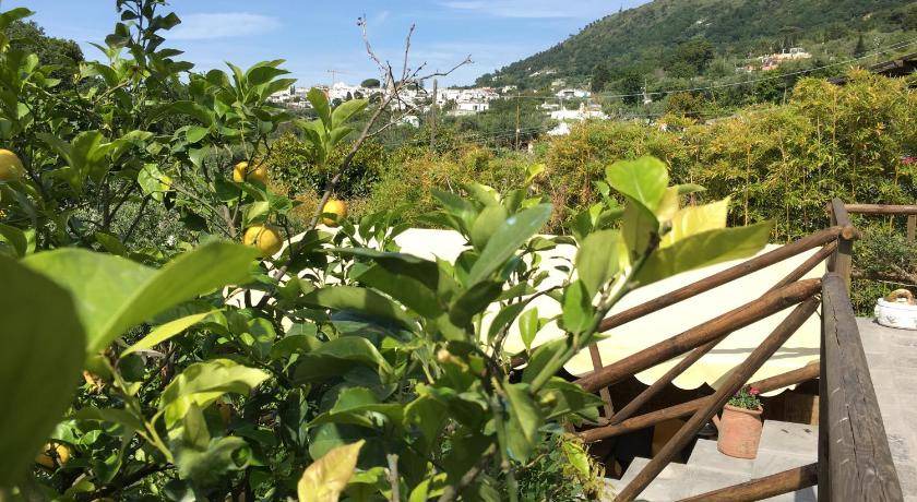 Photo of Others in Anacapri