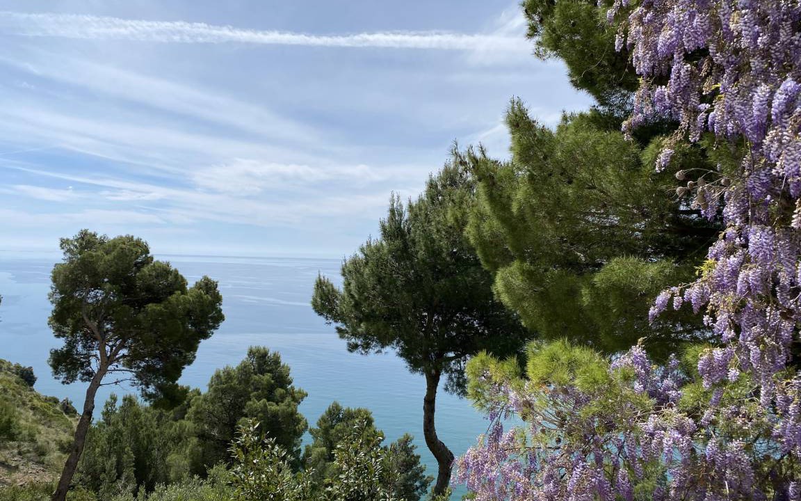 Photo of Others in Sperlonga