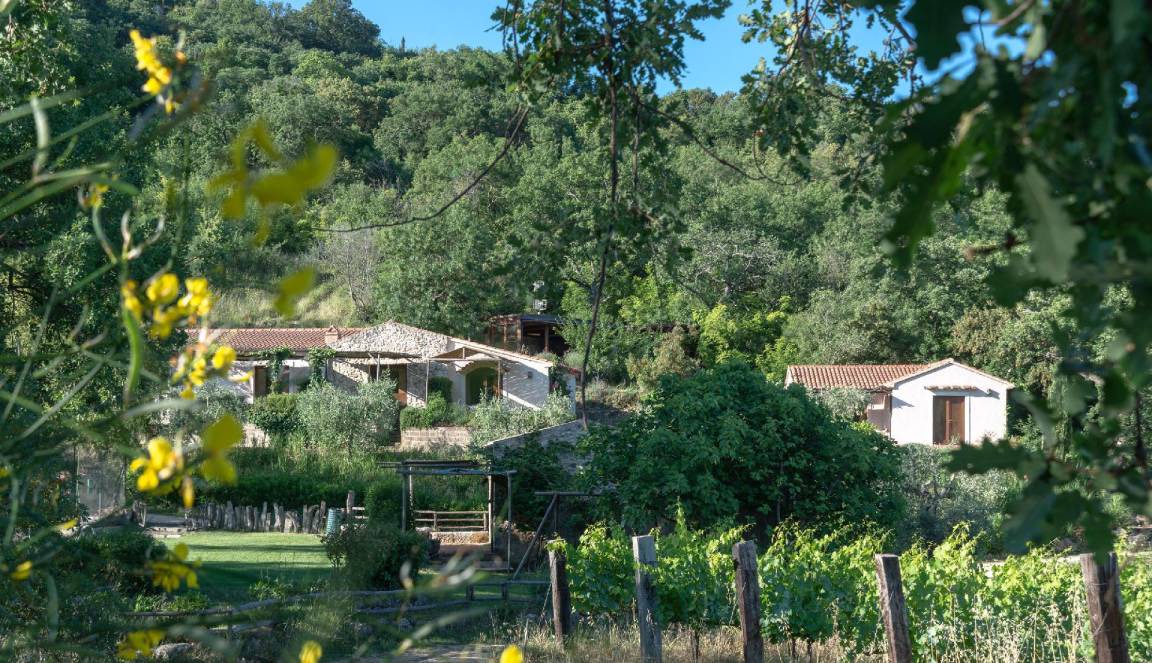 Photo of Others in Saturnia