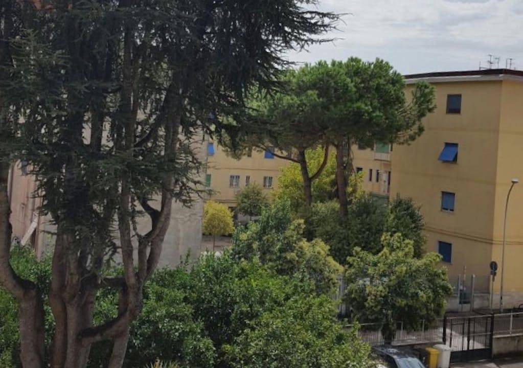 Photo of Others in Caserta