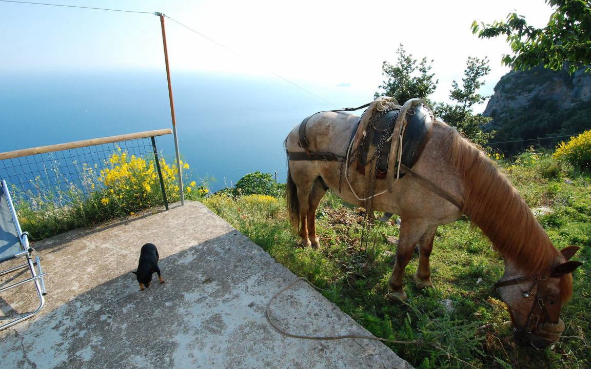 Photo of Others in Agerola