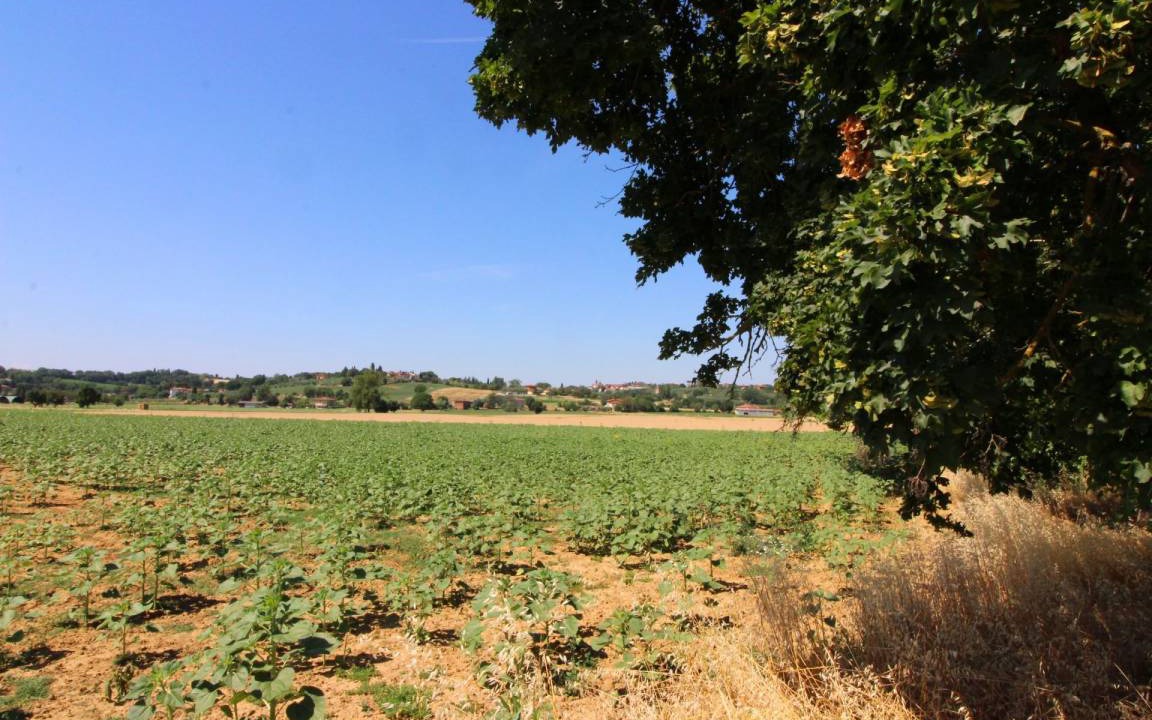 Photo of Others in Foiano della Chiana