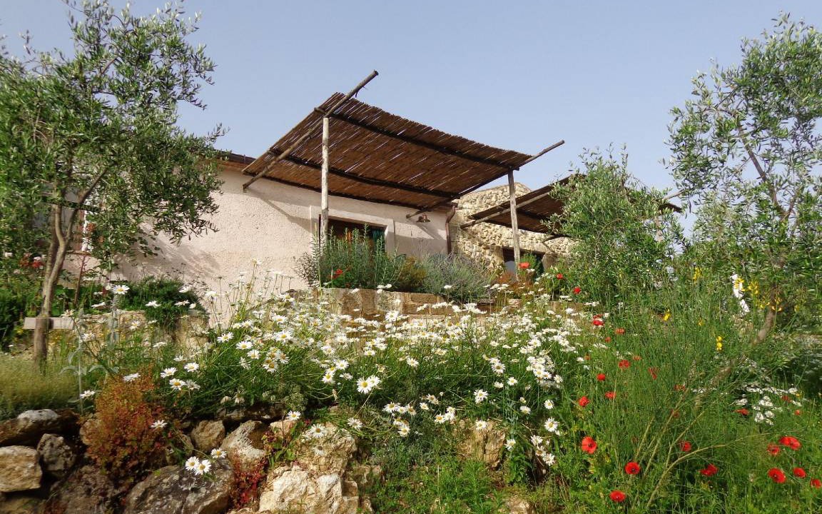 Photo of Others in Saturnia