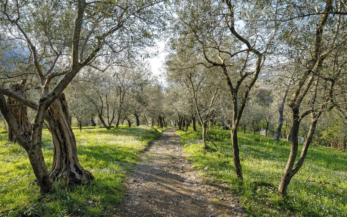 Photo of Others in Gragnano