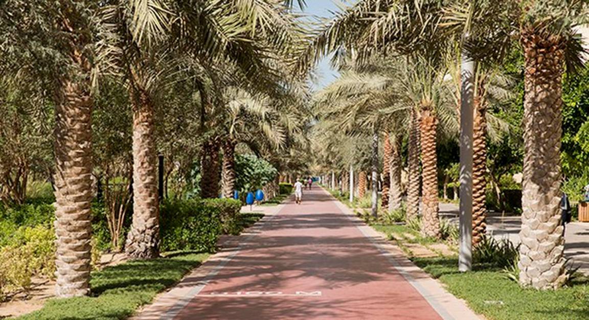 Photo of Others in Palm Jumeirah