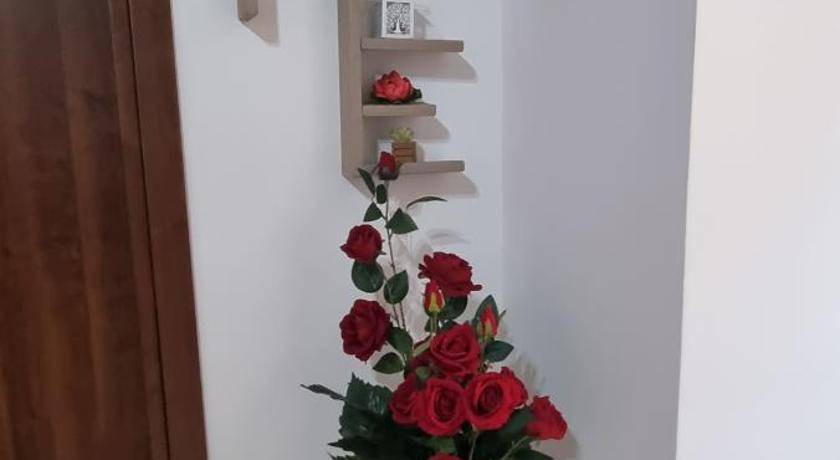Photo of Others in Scafati