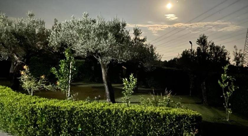 Photo of Others in Montecorvino Pugliano