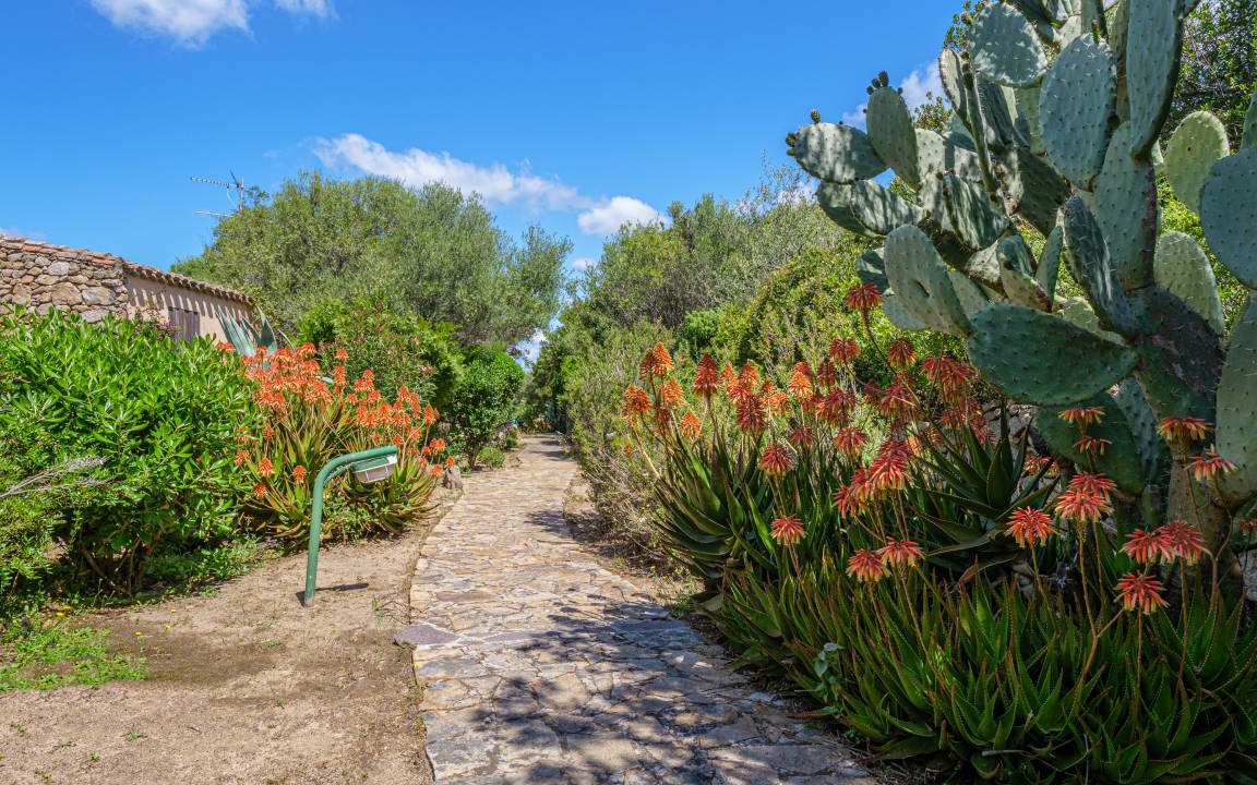 Photo of Others in Porto Rotondo