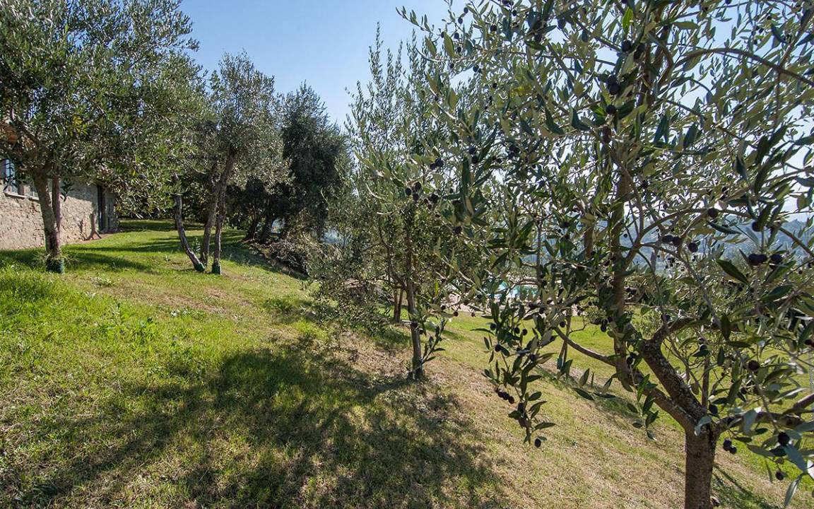 Photo of Others in Pratovecchio