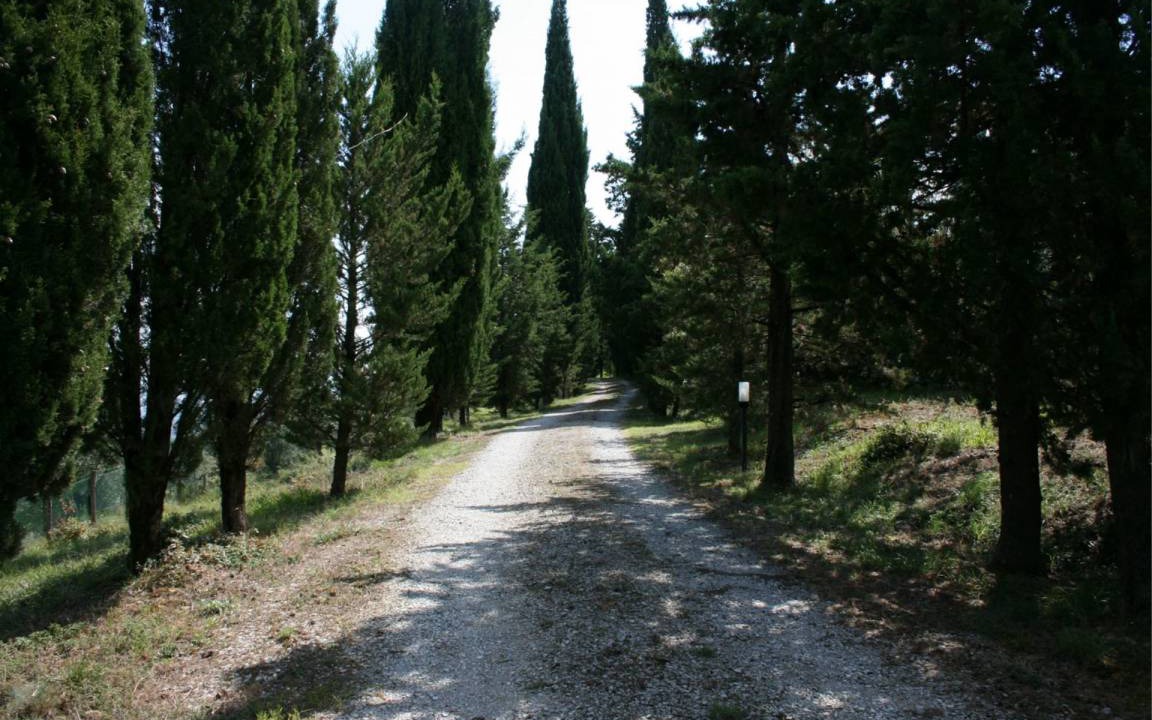 Photo of Others in Civitella in Val di Chiana