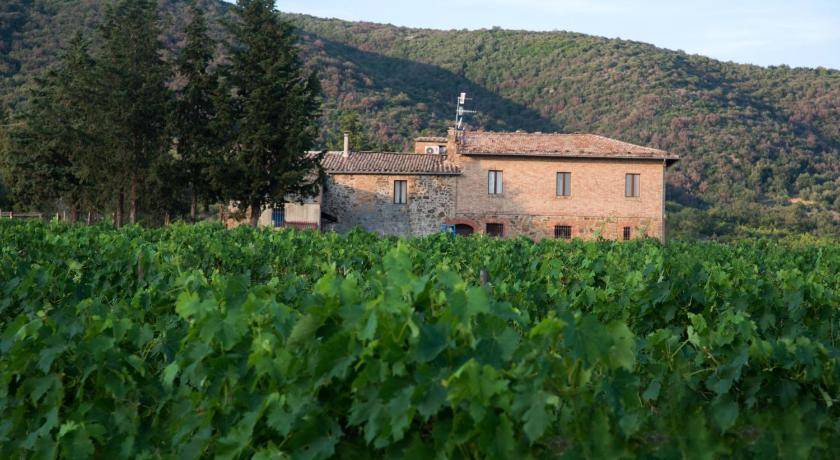 Photo of Others in Montalcino