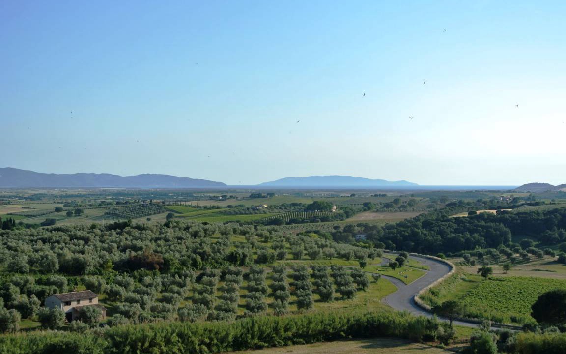 Photo of Others in Magliano in Toscana