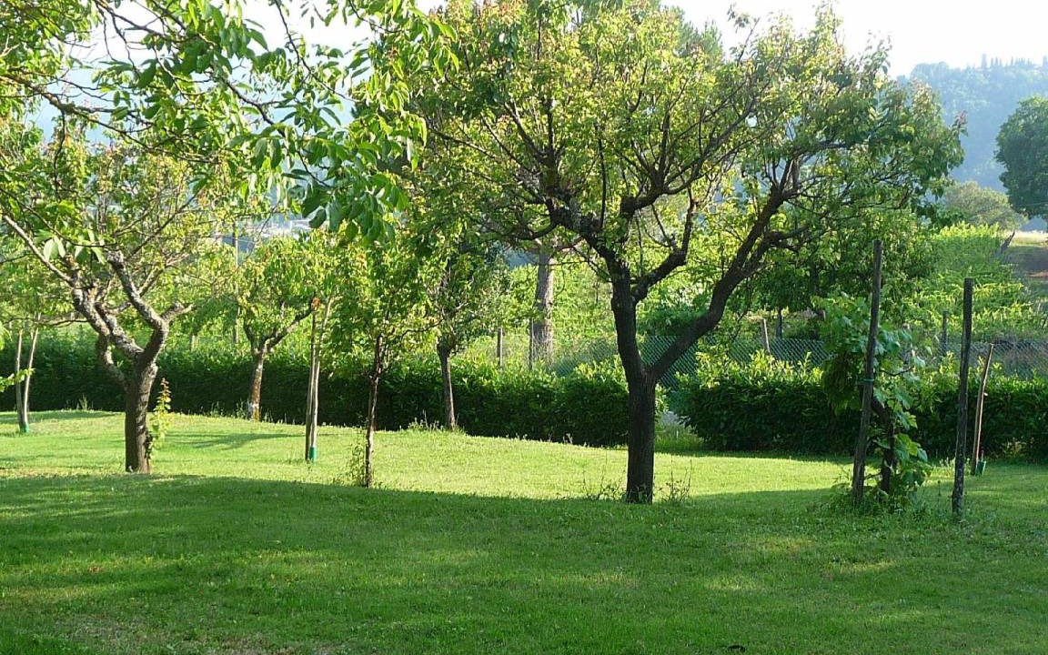 Photo of Others in Pratovecchio