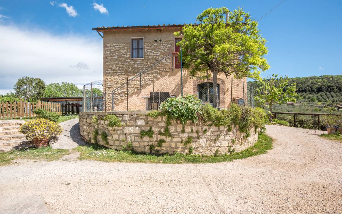 Photo of Others in Serre di Rapolano