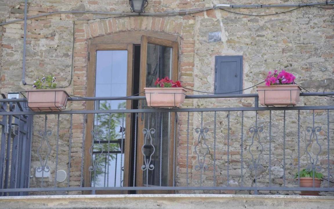 Photo of Others in Macchia
