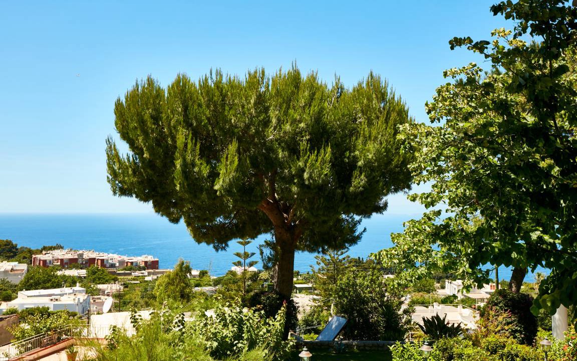 Photo of Others in Anacapri