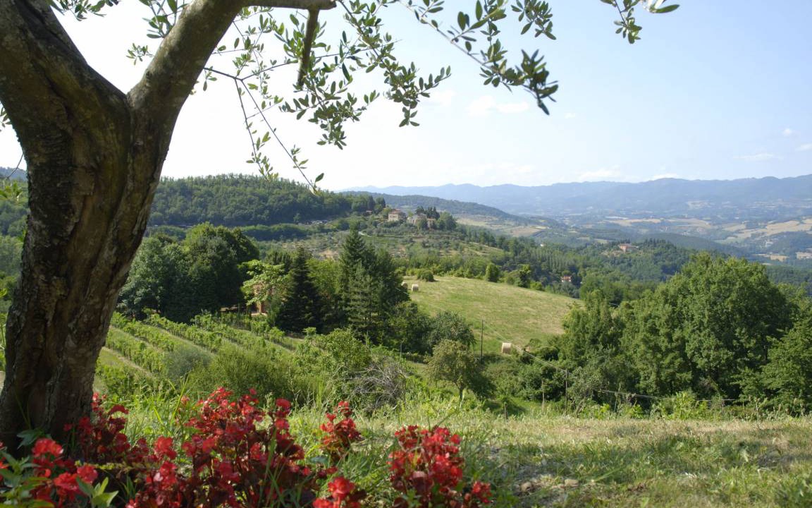 Photo of Others in Dicomano