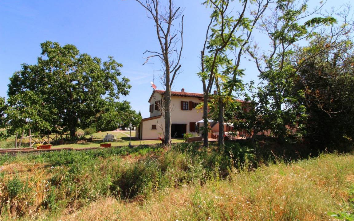 Photo of Others in Foiano della Chiana