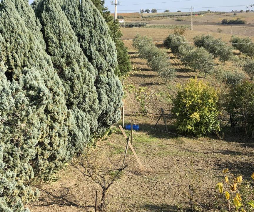 Photo of Others in Montenero di Bisaccia