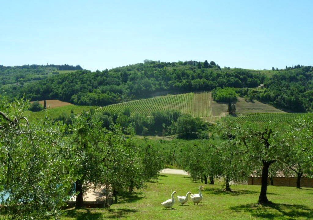 Photo of Others in Marcialla