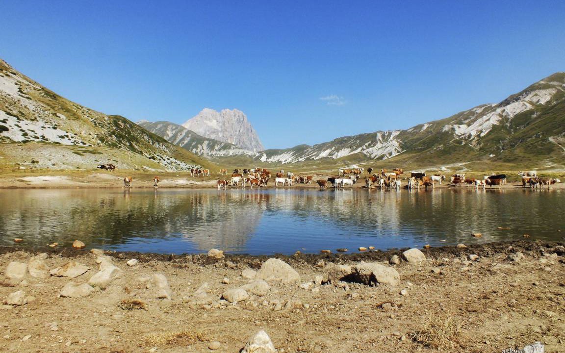 Photo of Others in Castel di Ieri