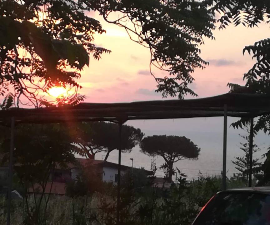 Photo of Others in Parghelia