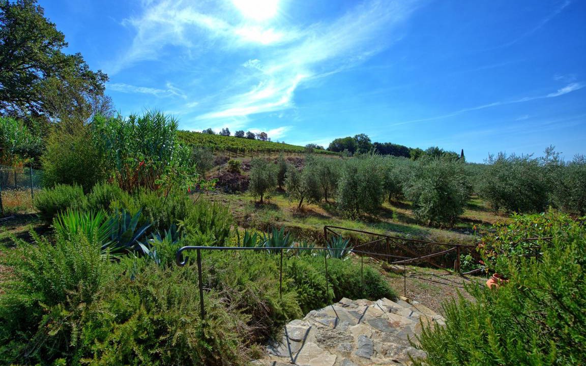 Photo of Others in Villa A Sesta