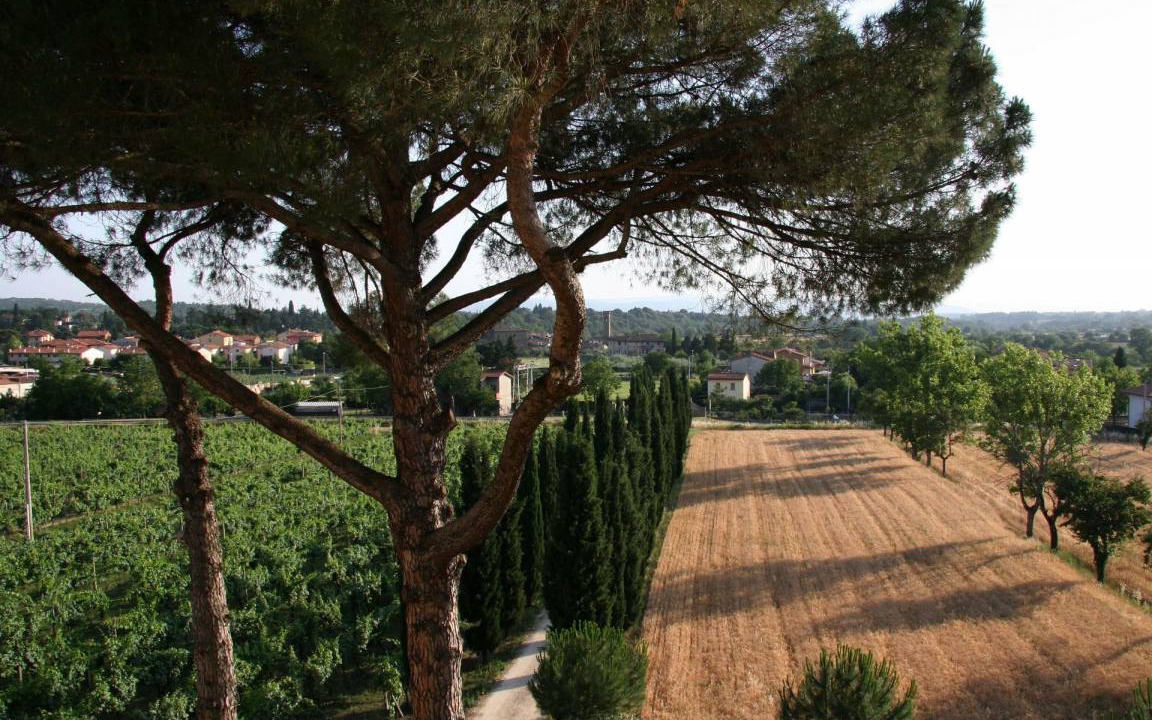 Photo of Others in Giovi-Ponte Alla Chiassa