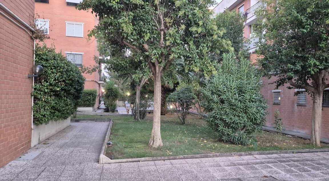 Photo of Outdoor in Zona XXVIII Tor de' Cenci
