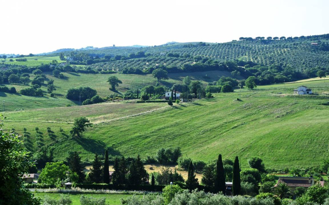Photo of Others in Magliano in Toscana