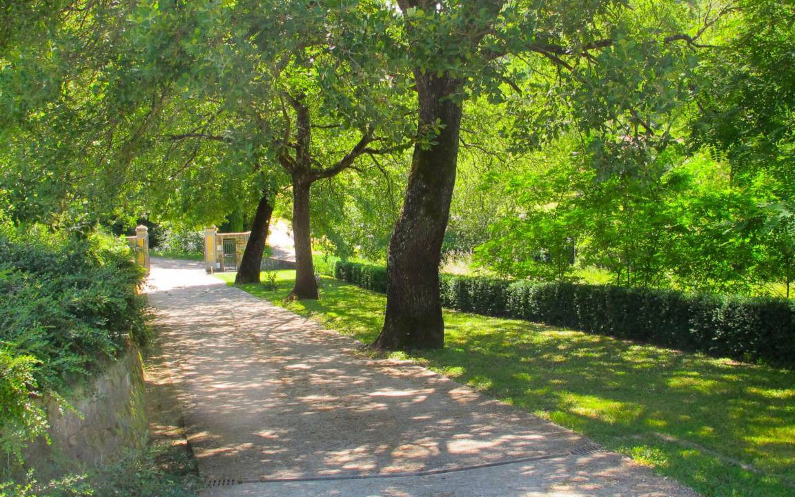 Photo of Others in San Giovanni Valdarno