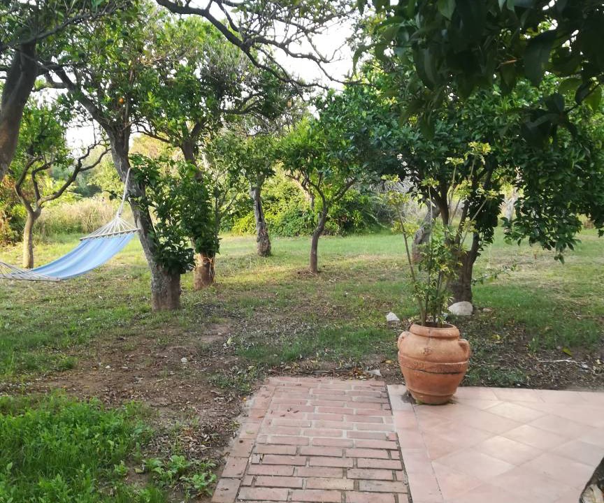 Photo of Others in Parghelia