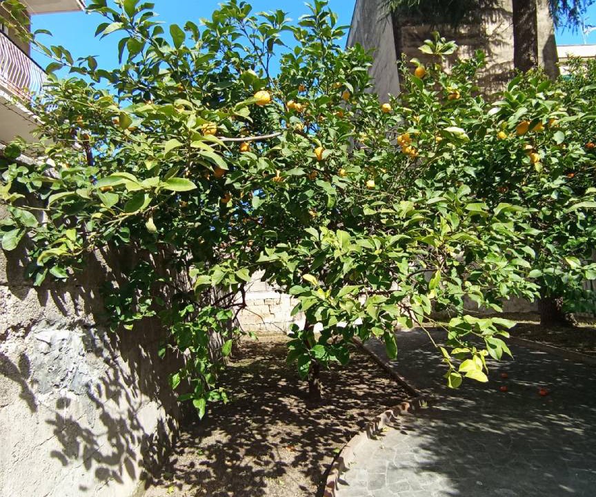 Photo of Others in Naples