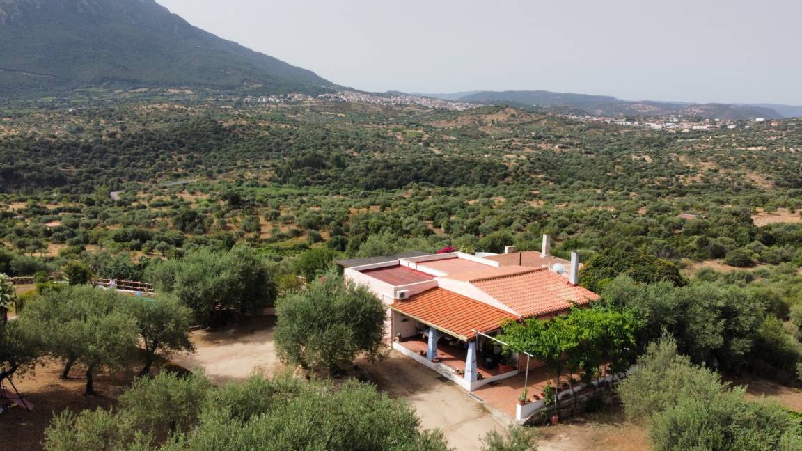 Photo of Others in Oliena