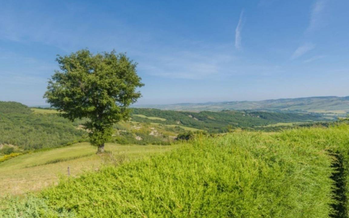 Photo of Others in Contignano