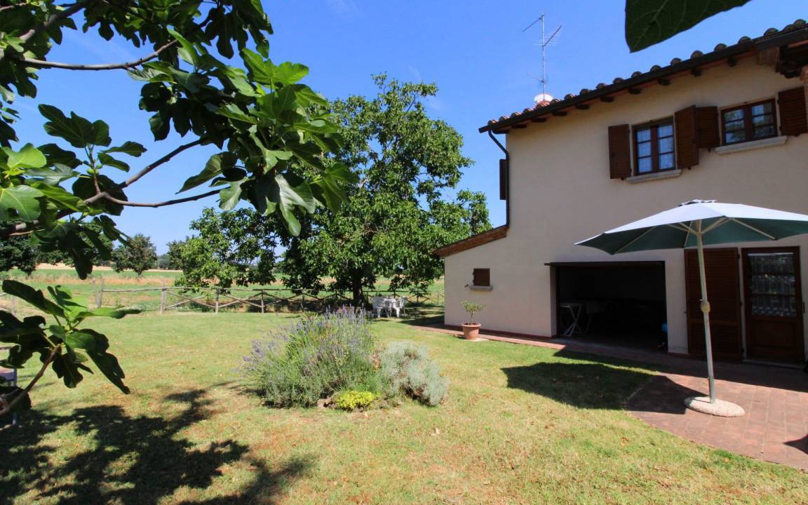 Photo of Others in Foiano della Chiana