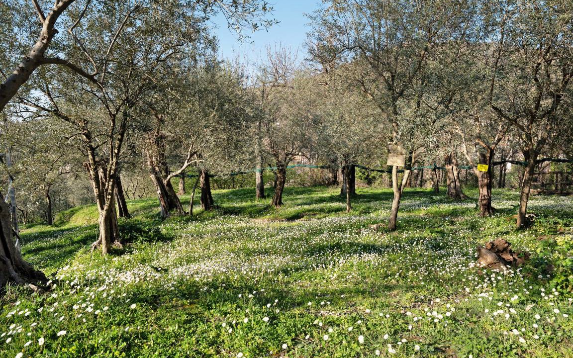 Photo of Others in Gragnano