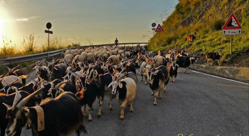 Photo of Others in San Lucido