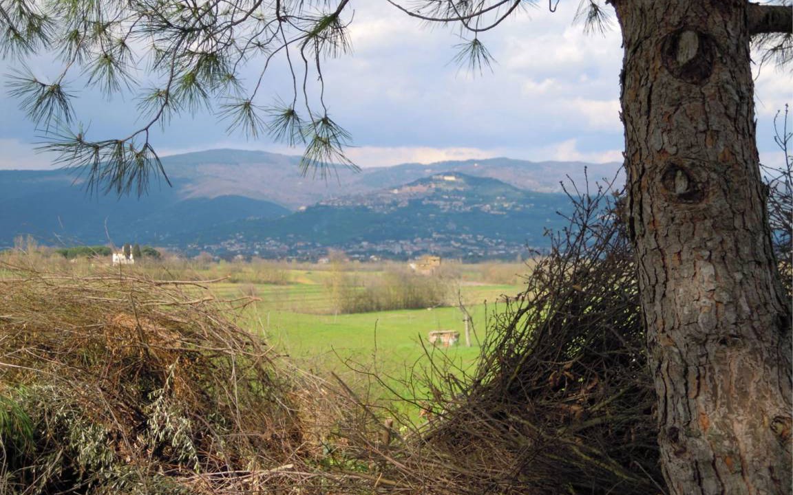 Photo of Others in Cortona