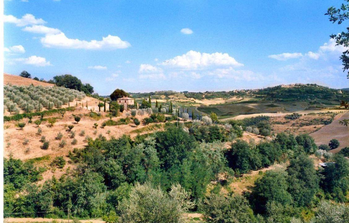 Photo of Others in Montefollonico