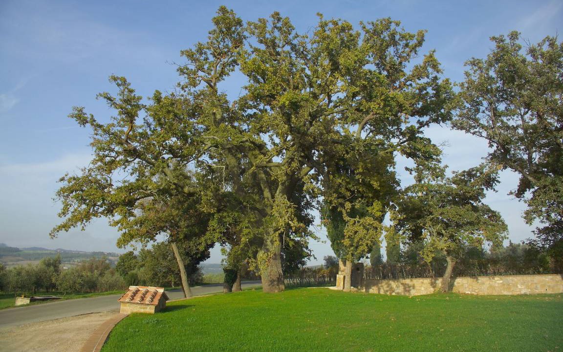 Photo of Outdoor in Monticchiello