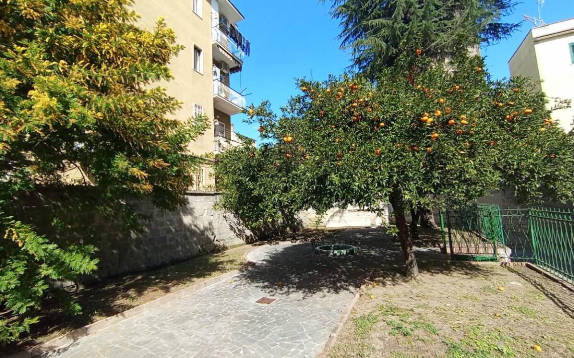 Photo of Others in Naples