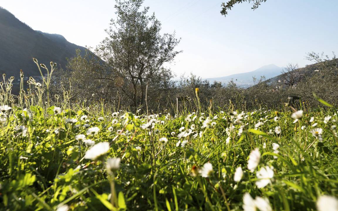 Photo of Outdoor in Gragnano