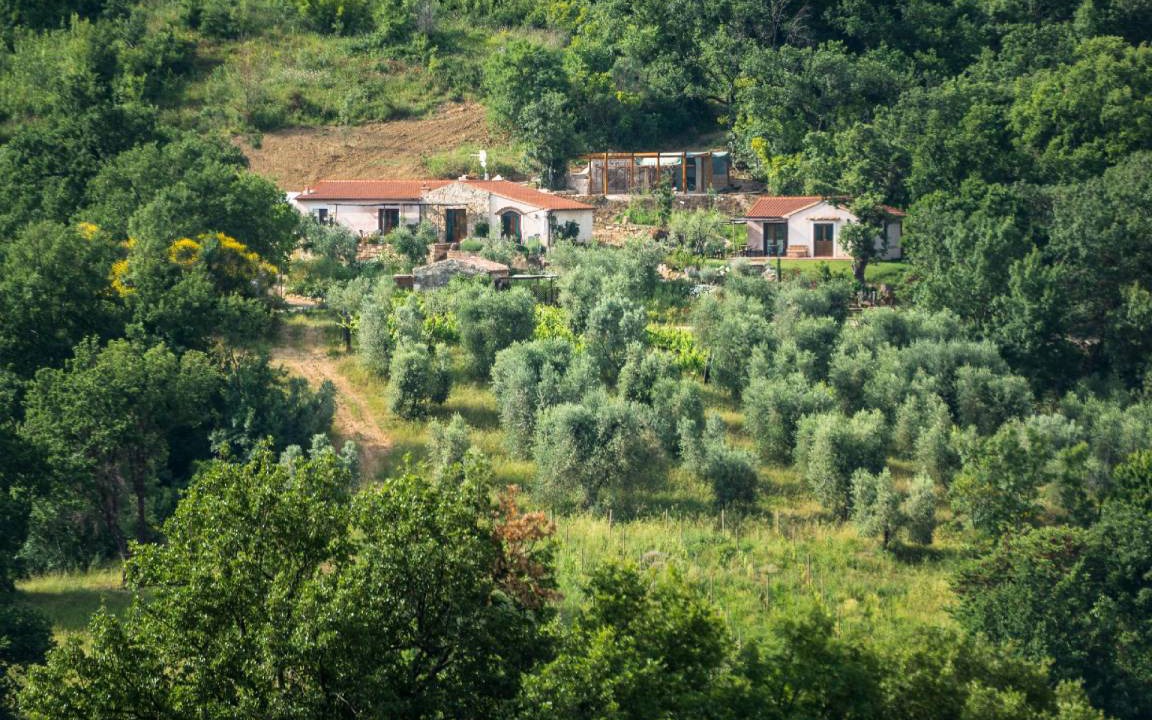 Photo of Others in Saturnia