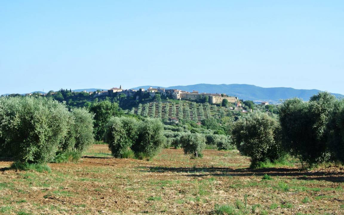 Photo of Others in Magliano in Toscana