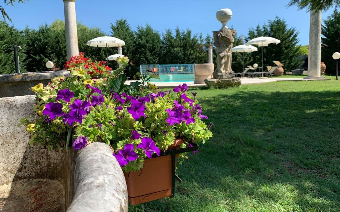 Photo of Others in Tregozzano
