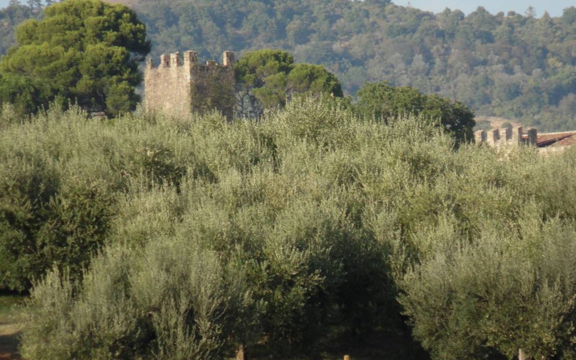 Photo of Others in Ramazzano